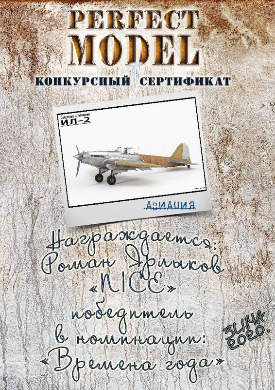 Зимний диплом авиация