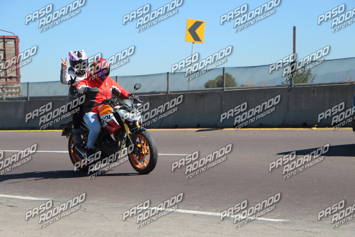IMG 3356 wm 9862974 8 watermarked — Postimages