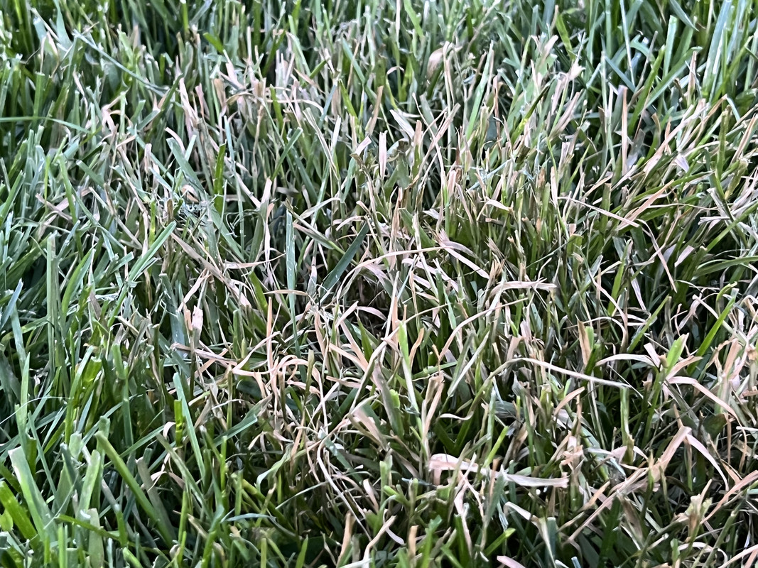 5CC86848-71BC-4A77-A35C-E4628501E18F