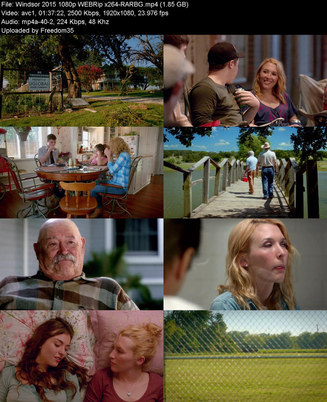 Windsor-2015-1080p-WEBRip-x264-RARBG.jpg