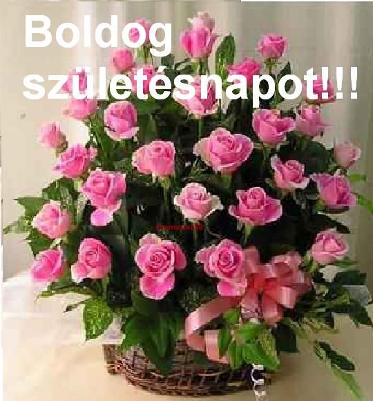 be86359f27c122a848277f105517e3a3