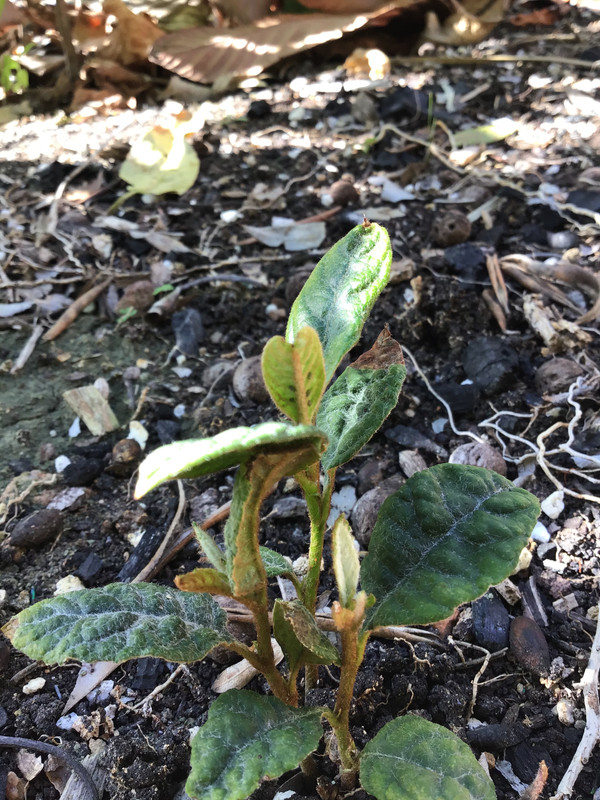 E00E246B-FED1-488E-9FEA-B7B9941ACCD3