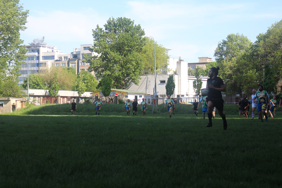 IMG-0503