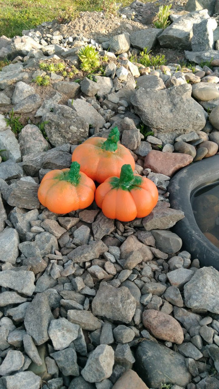 IMG-3ea87a154d423588e984a3546ca09e50-V