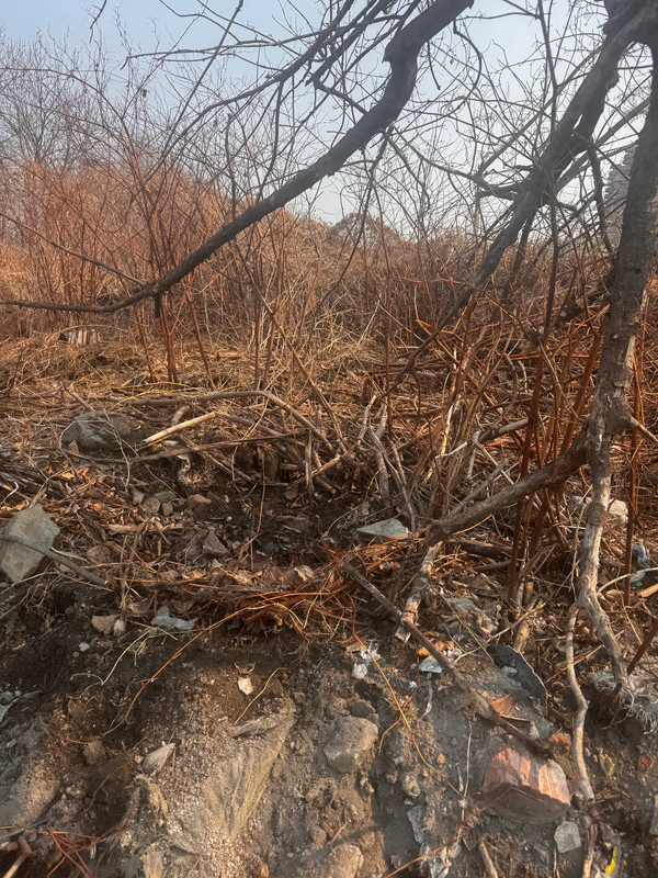 IMG 20260328 123749 390