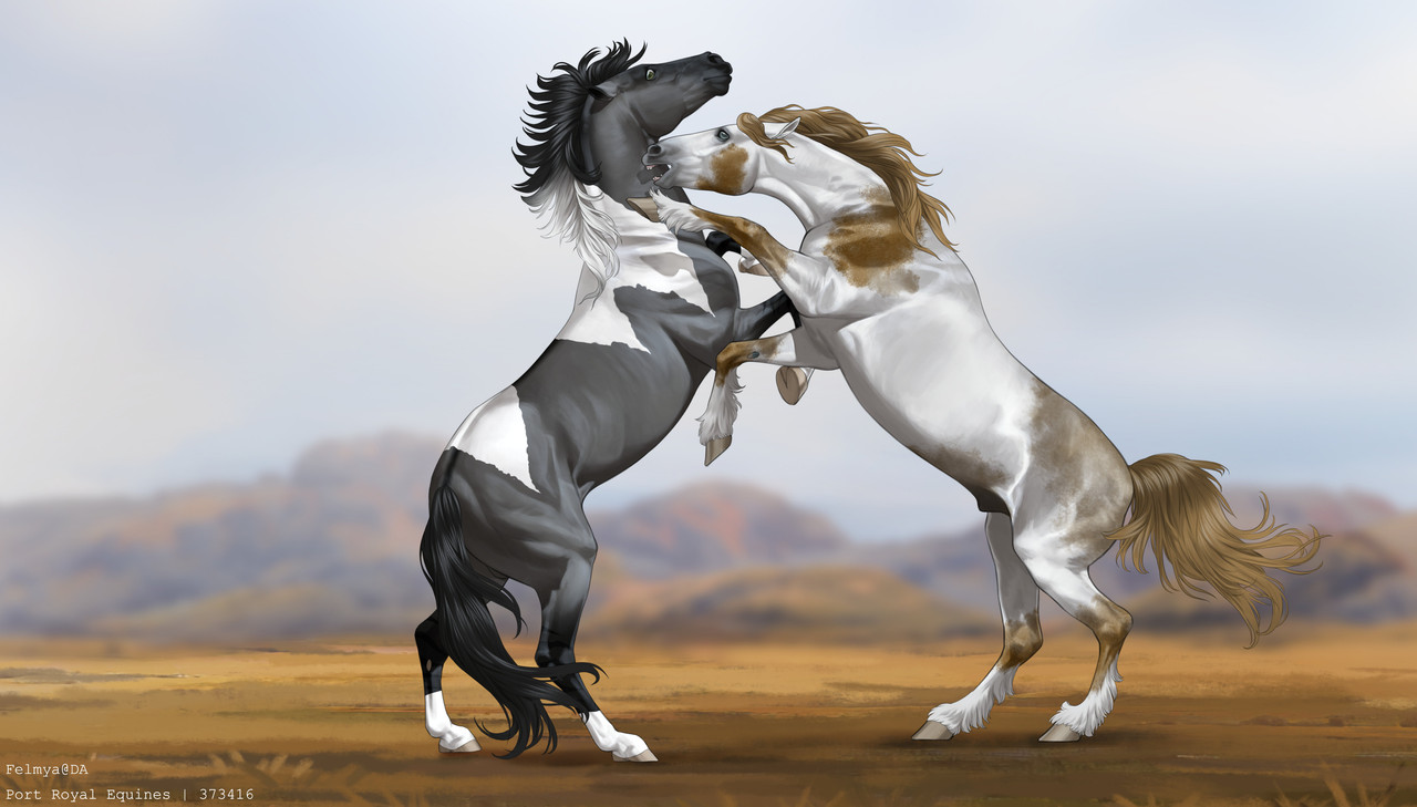 Custom-Base-fighting-Port-Royal-Equines-20241022005912.jpg