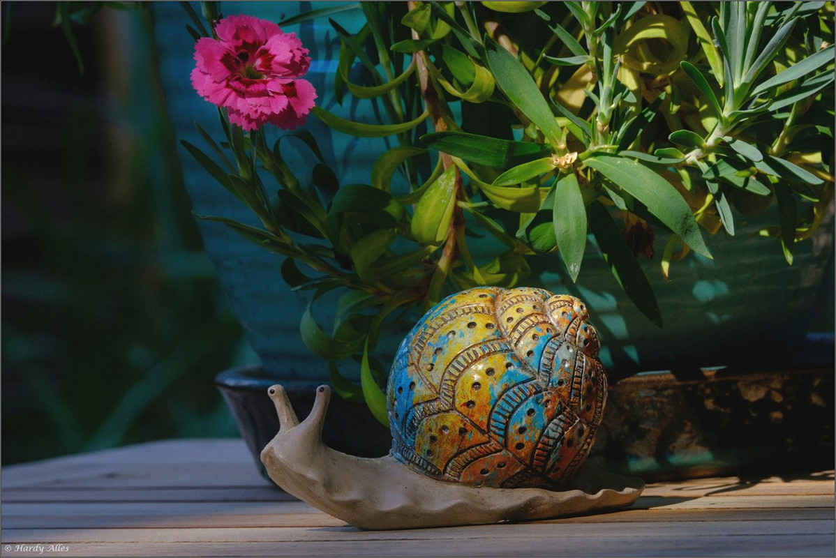 XT4D0770   Gottwill 2022 LR ERWZ FB