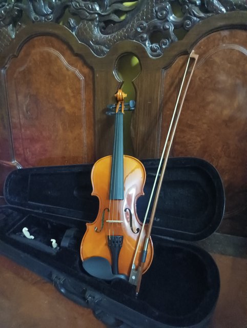 IMG_20250318_214402[1]