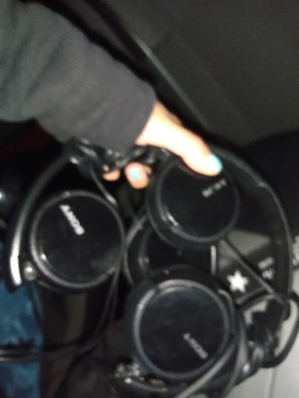 IMG_20220719_031131159