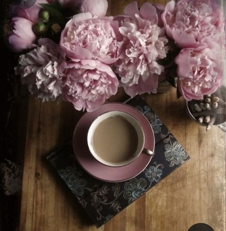 Screenshot_20230616_132506_Pinterest