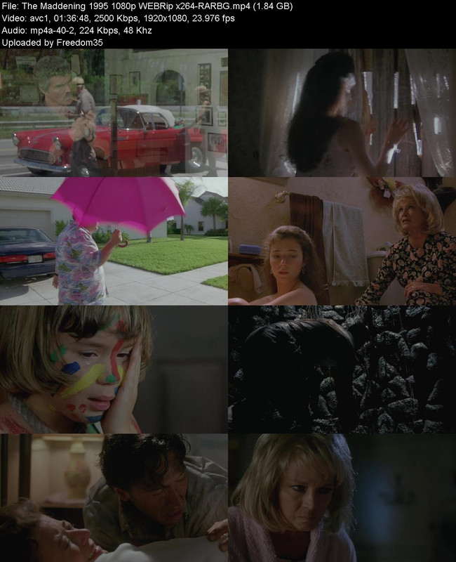 The-Maddening-1995-1080p-WEBRip-x264-RAR