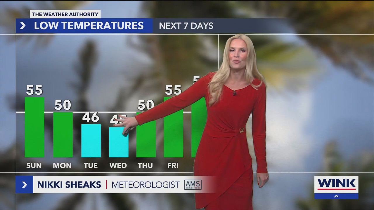 WINK News at 11_20241201_04000500.ts_snapshot_00.01.42.058