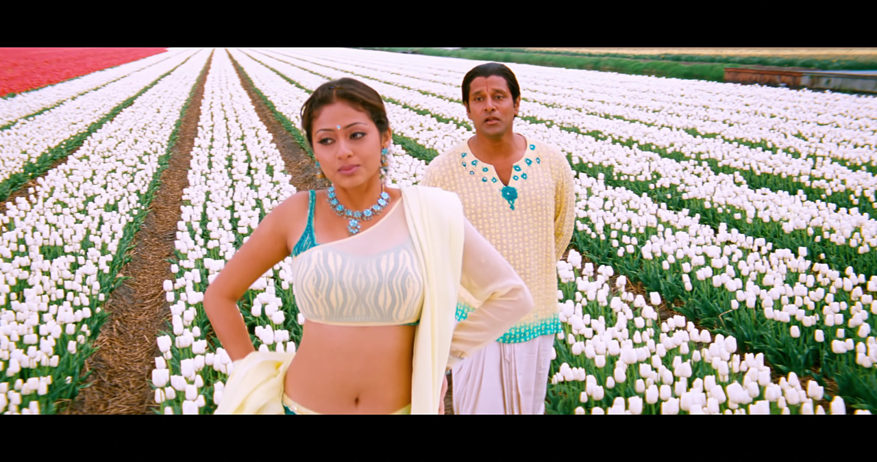 VideoCapture_20241122-195559