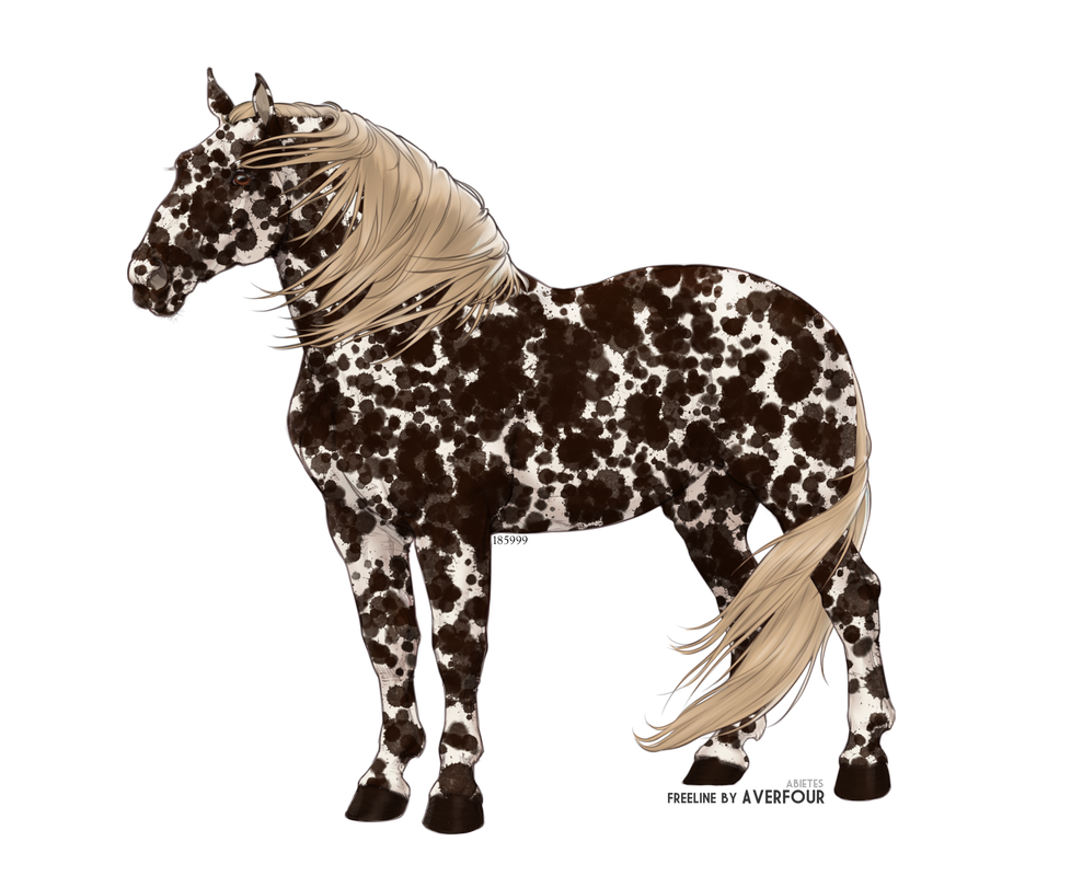 Solveig-Mare.png