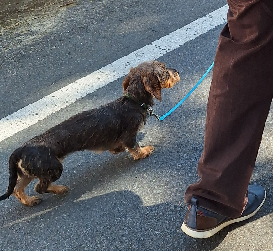 [Image: 20240714-164439.jpg]