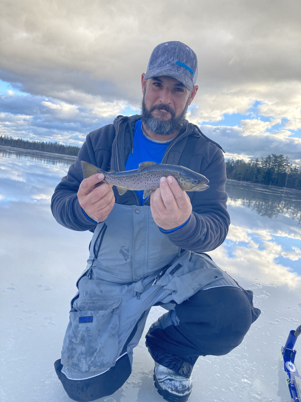 4D786F82-40D9-48E7-8CDC-A81412E5414B