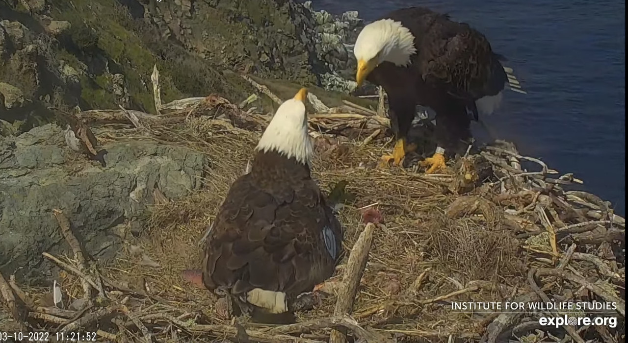 93030D5C-9259-4AC9-87B1-00630EA5AFAE