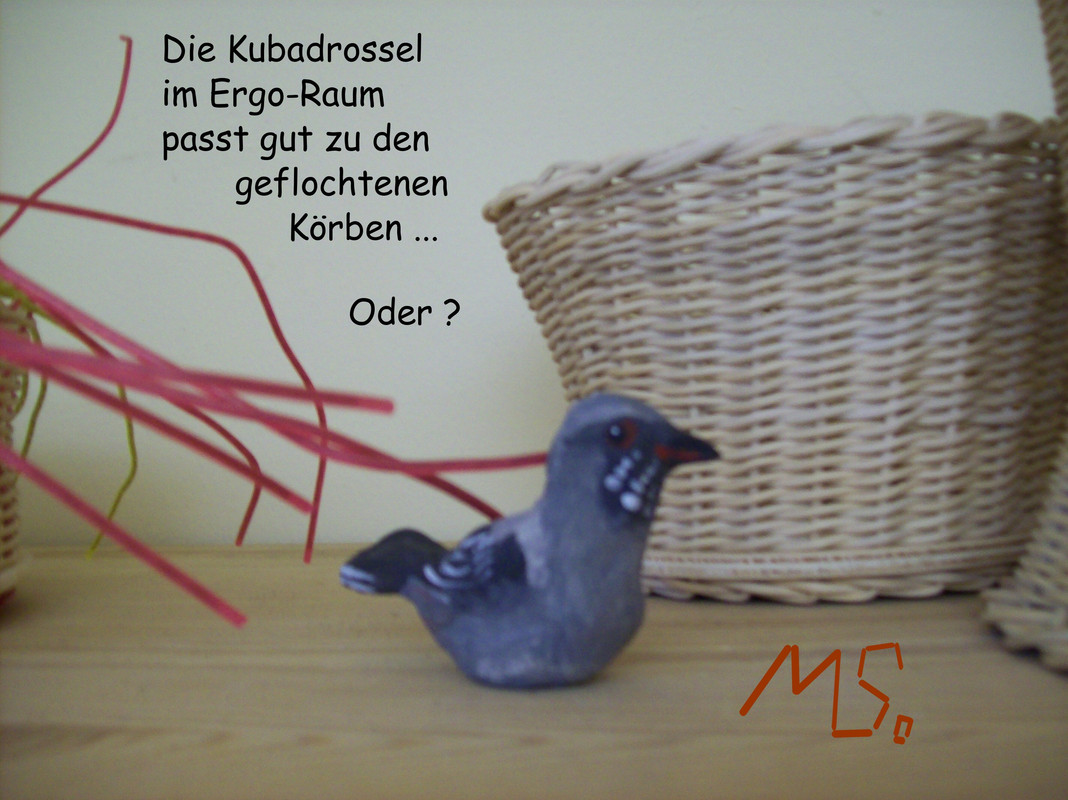 100_2822