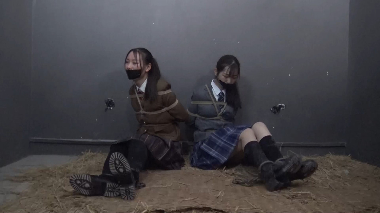 胜景影视 落难JK姐妹.mp4_20220605_081517.589