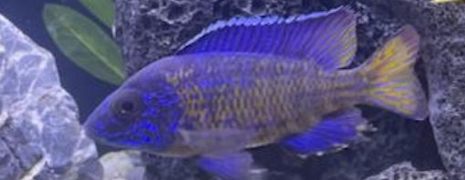 Capture d’écran 2023-07-26 à 14.31.40