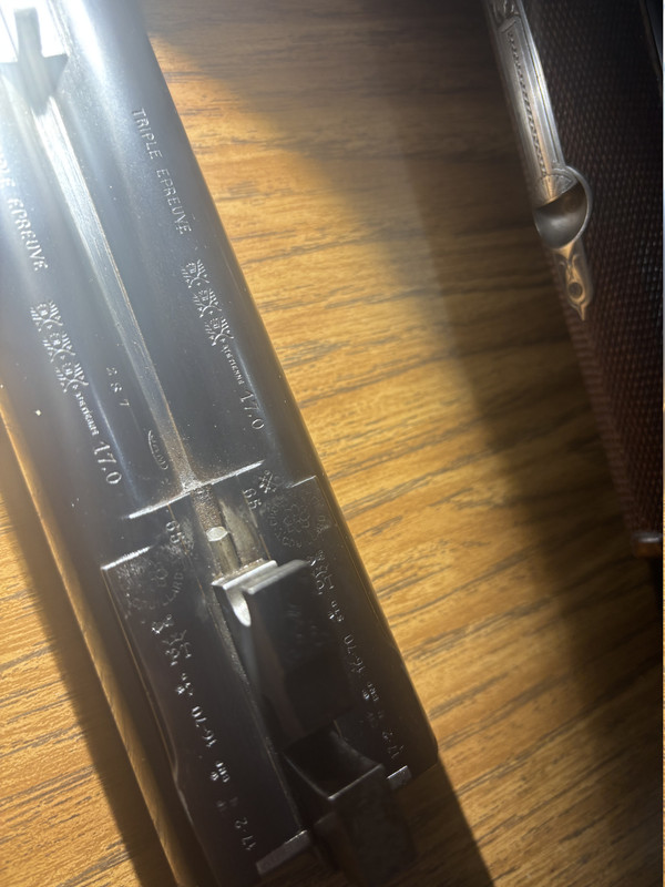 [Linked Image from i.postimg.cc]