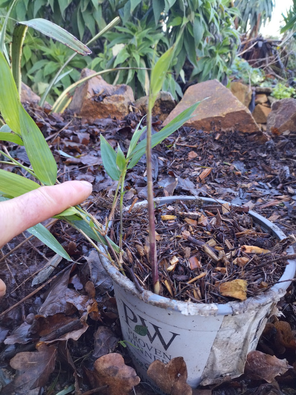 IMG 20260123 094414605