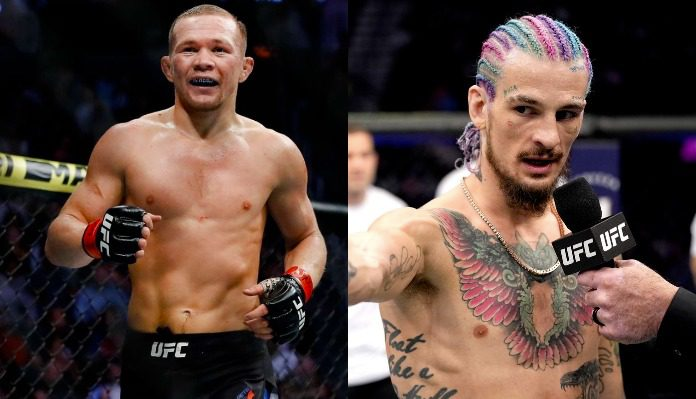 Шон О&#039;Мали срещу Пьотр Ян в UFC 280
