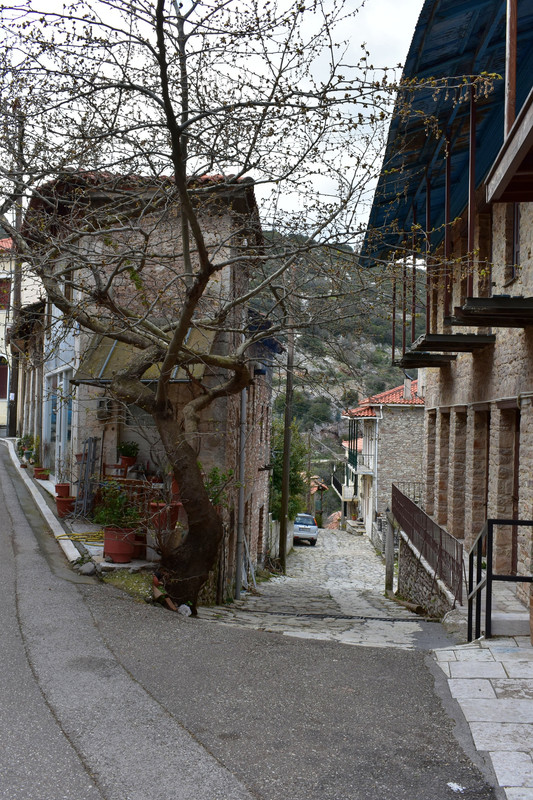 Ανδρίτσαινα