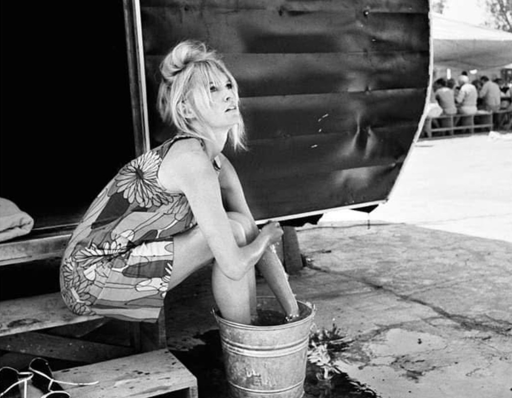 85DEA537-49FF-482A-94D4-A26F9D5B5796