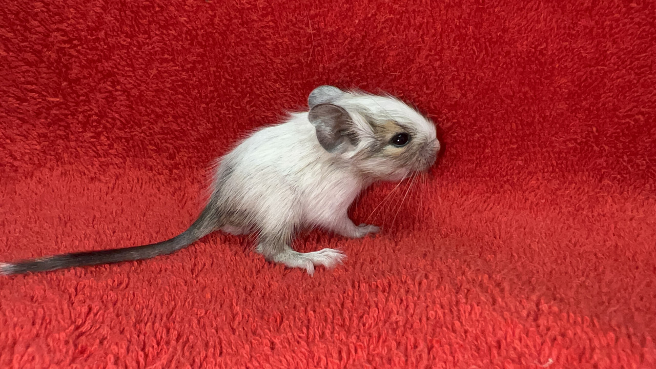 D2C550D9-79E0-4164-AFE2-FF974D51657B