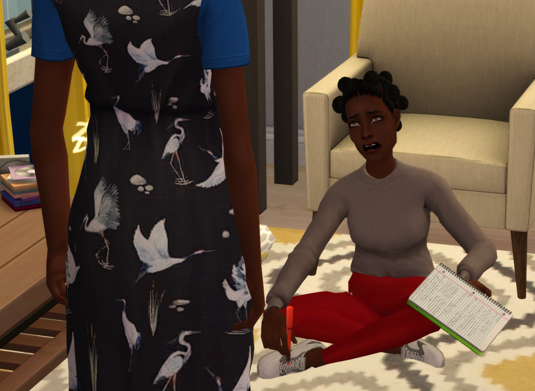 Sims2-EP9-RPC-2023-02-17-21-47-22-74