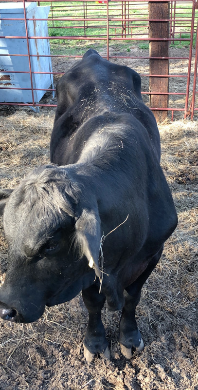 94E71347-B780-41D7-8B64-0DCF8DF2F7B2