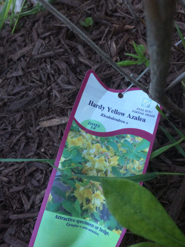 F8F0A73F-2D69-4115-BAC7-2238674587E1