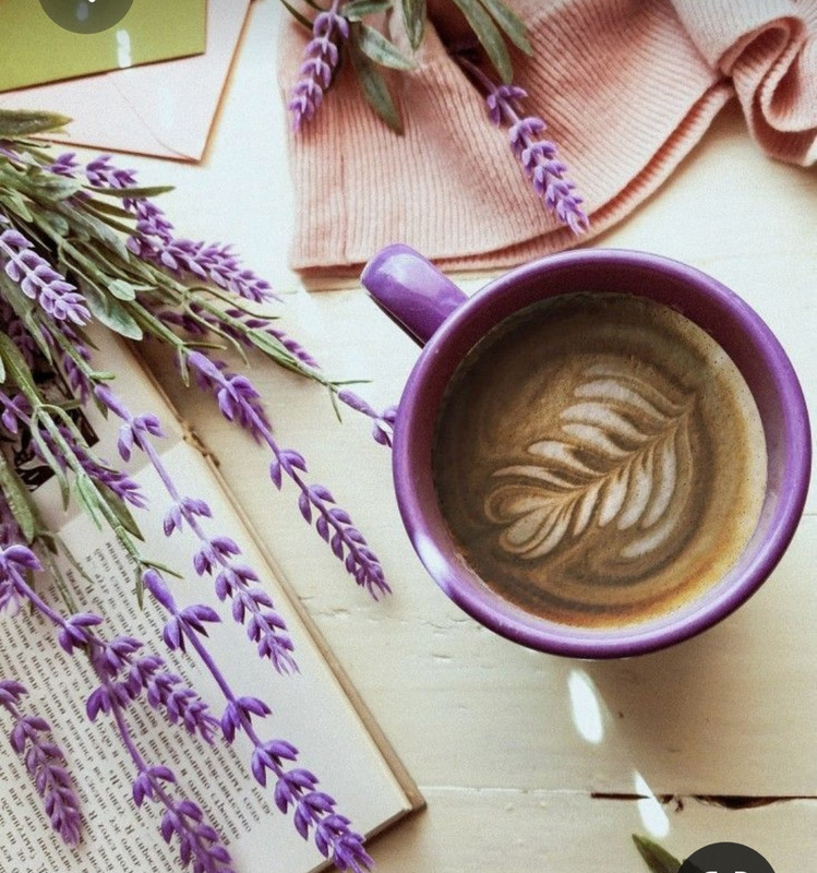 Screenshot_20230315_230217_Pinterest