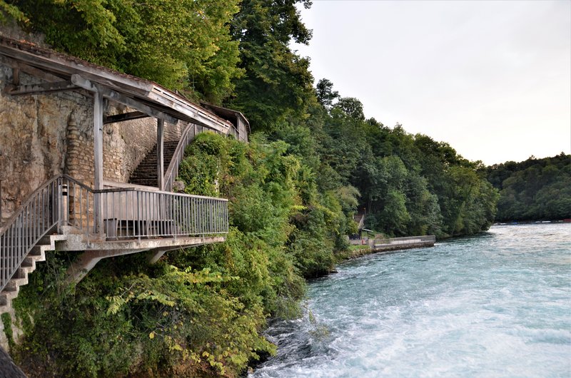 CATARATAS DEL RHIN-5-9-2019 - Suiza y sus pueblos-2019 (32)