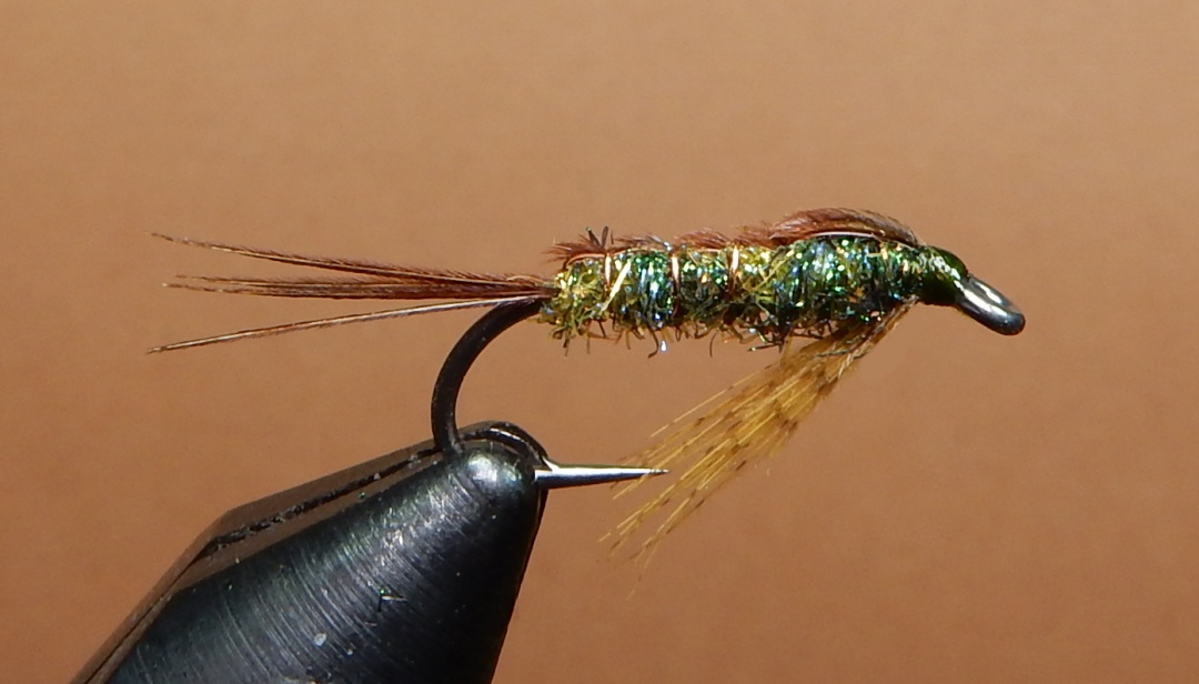 Clearwater-Callibaetis-1080.jpg