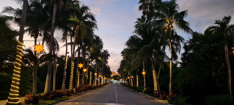 Riviera Maya en Navidad - Blogs de Mexico - Año Nuevo en el Bahía Príncipe (10)