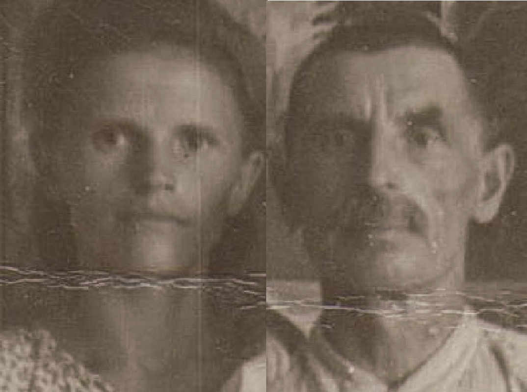 сравнение лиц