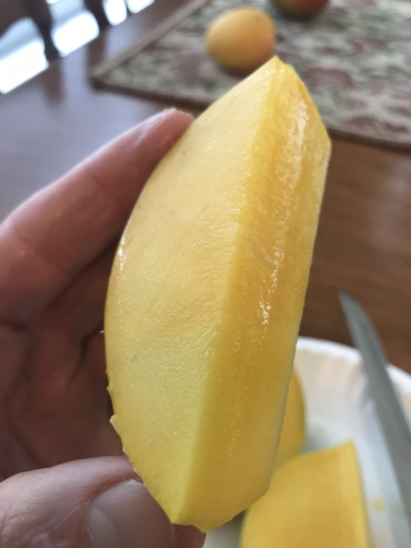 3ACE6E95-7307-4FF2-87D5-D4E47B789176