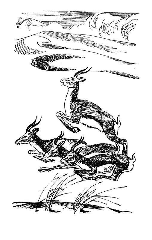 p0004