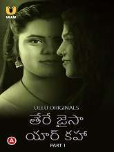 Watch Tere Jaisa Yaar Kaha (2023) Part 1 HDRip  Telugu Full Movie Online Free