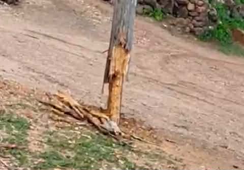 616009381-25677259141913739-7260677393785223479-n