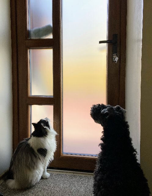 84-F8-B1-A3-AED1-4-E3-D-91-DC-F7-B47289-