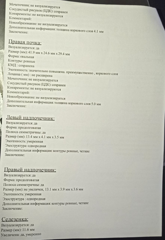 УЗИ брюшной полости 2