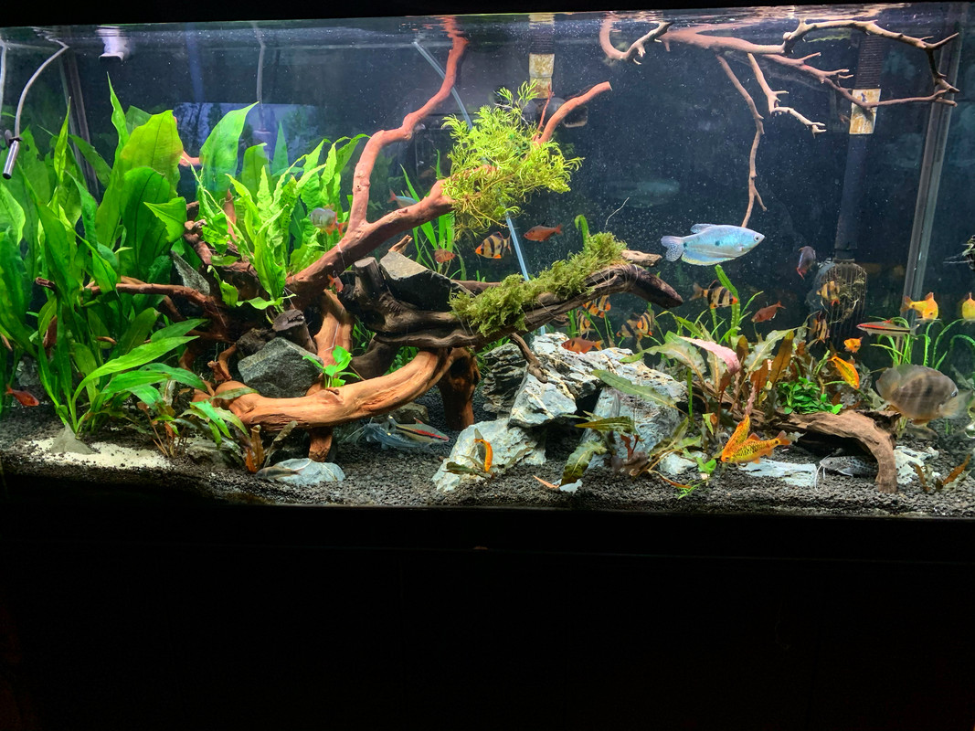 3CA396D1-6B4C-4D61-8922-0AD03C1CEDFC