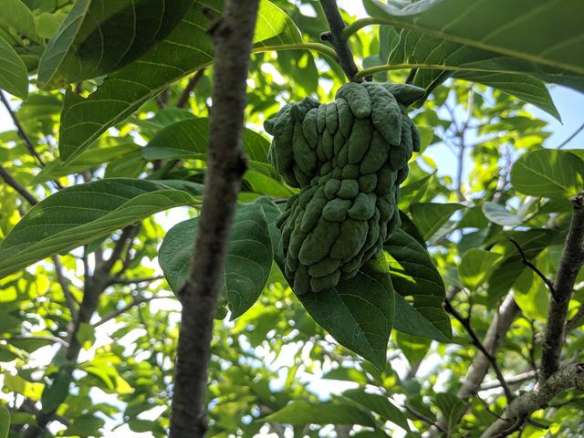 [Image: IMG-20190612-114109.jpg]