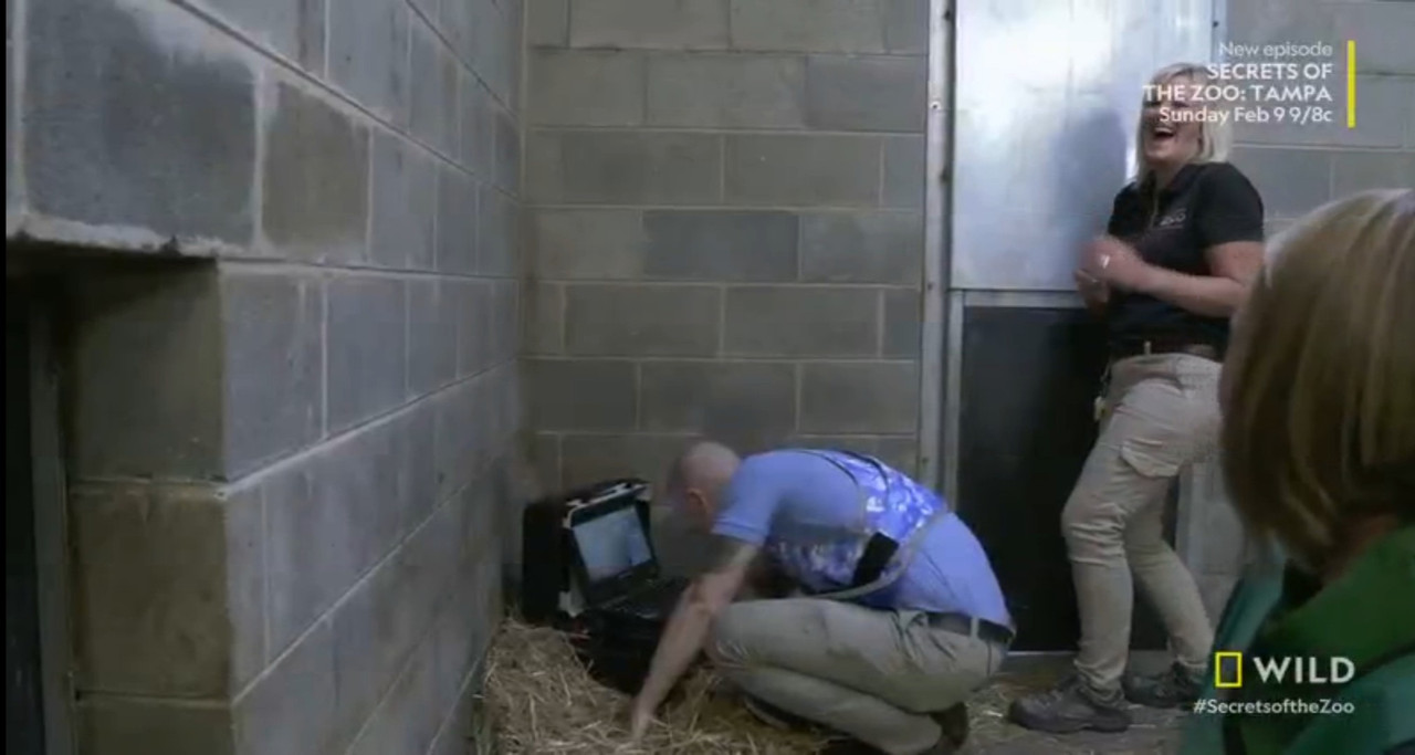 Screenshot_20200127-213738219_1