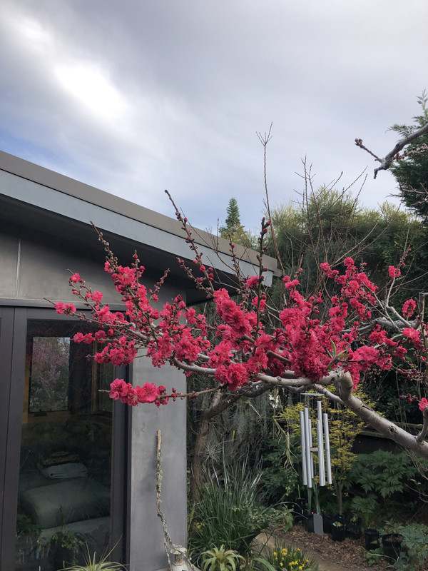 33F017C3-B547-47AC-A588-89CF27396911