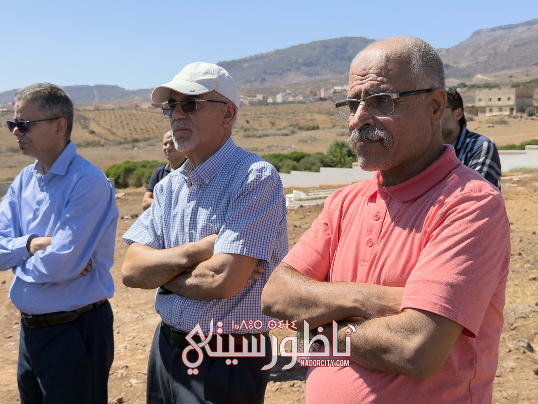 IMG-6548
