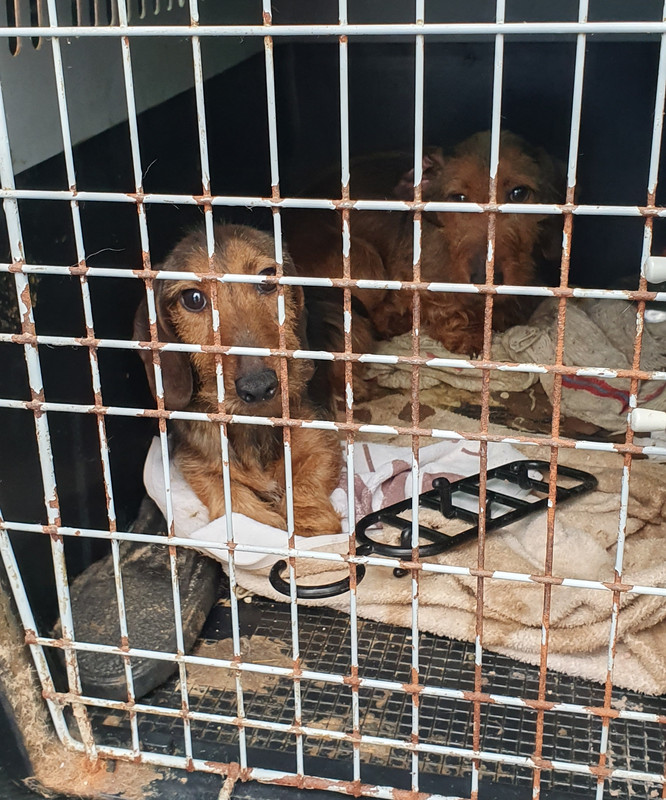 [Image: 20230509-110716.jpg]